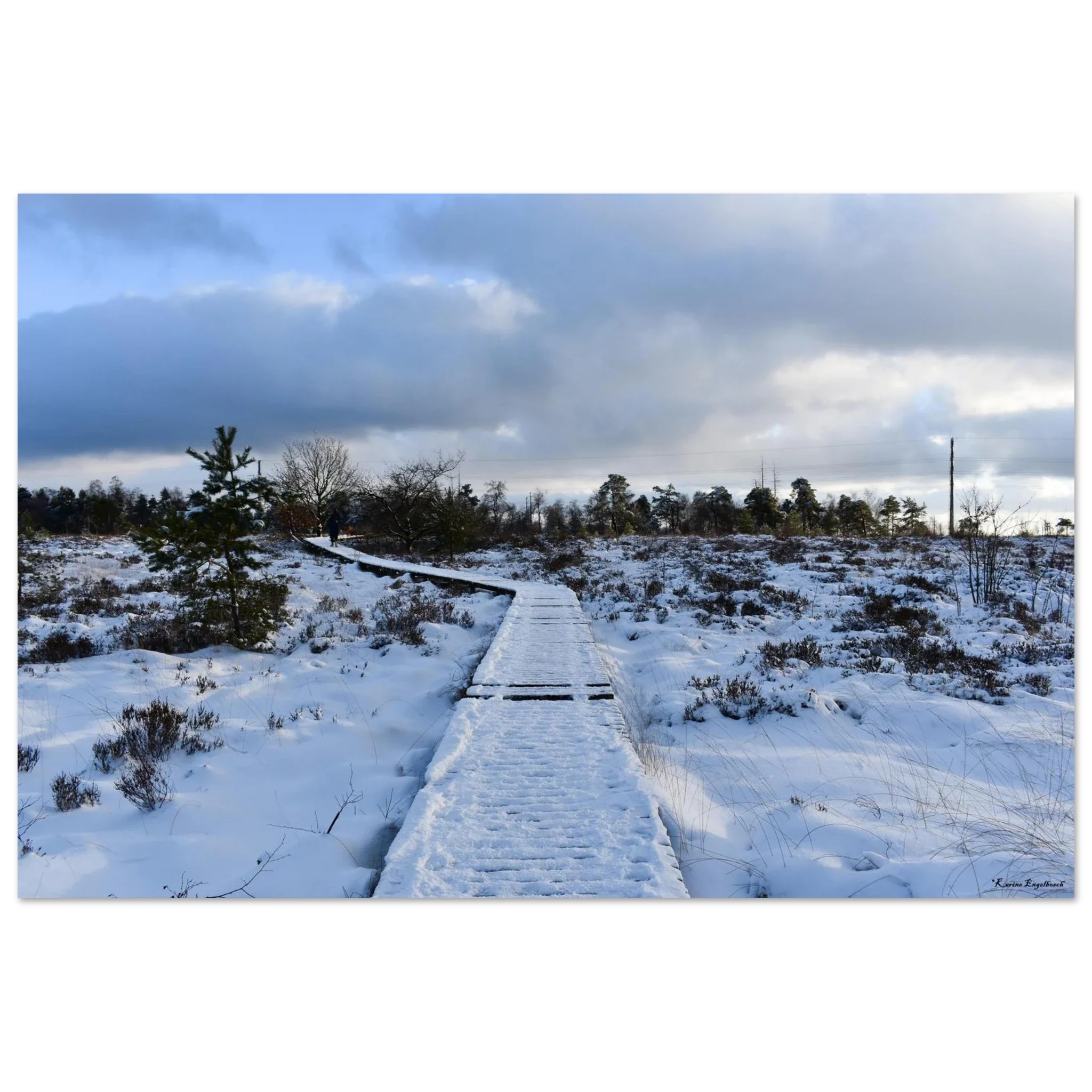 Silence d'hiver
