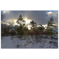 7c598928-1897-4c4a-8d28-68d8c1b8772c